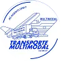 Logo TMGlobal